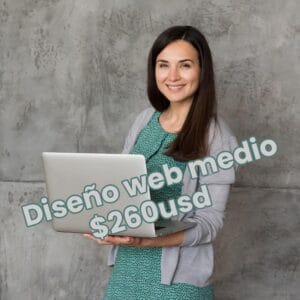 Diseño web medio $260usd